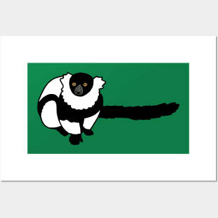 Kizzy the Black and White Ruffed Lemur Posters and Art